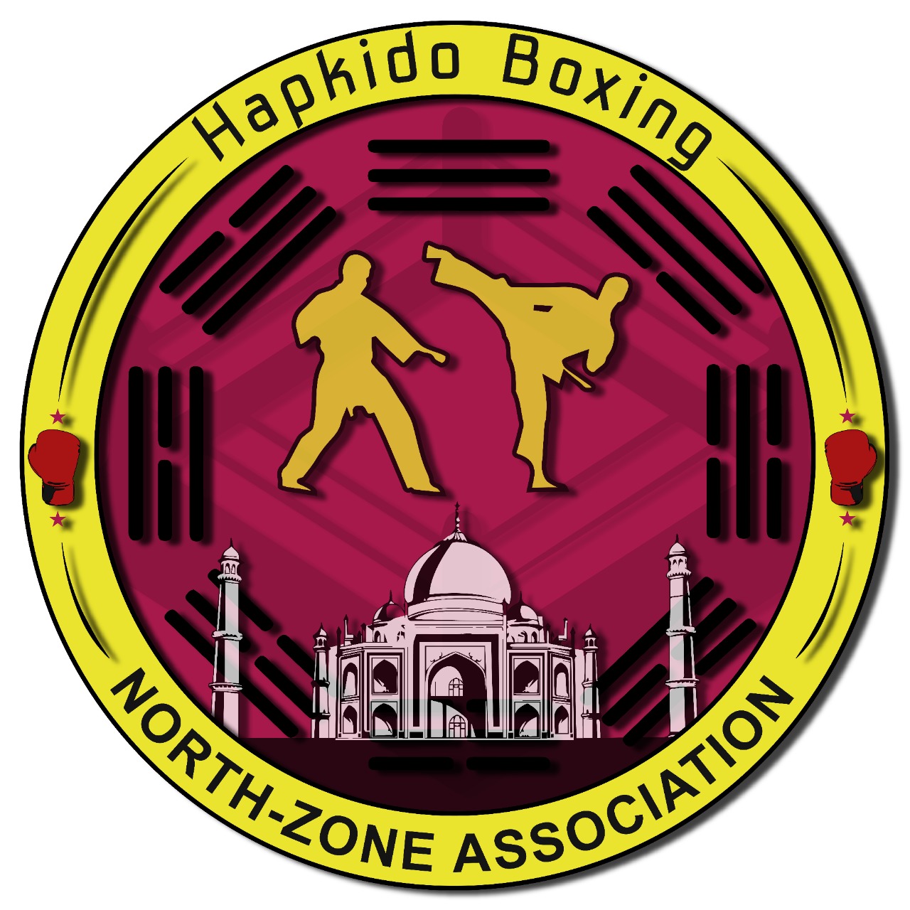 hapkido-boxing-national-federation-india